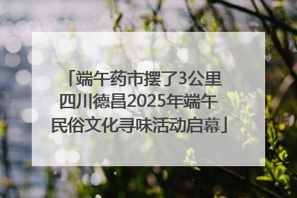 端午药市摆了3公里 四川德昌2025年端午民俗文化寻味活动启幕