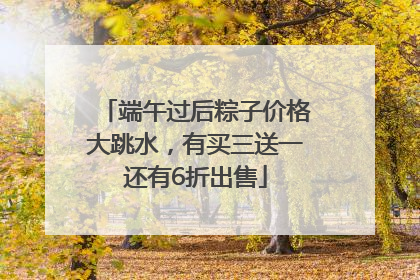 端午过后粽子价格大跳水，有买三送一还有6折出售