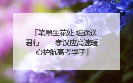 笔墨生花处 坦途送君行——孝汉应高速暖心护航高考学子