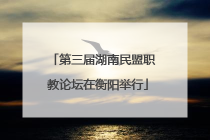 第三届湖南民盟职教论坛在衡阳举行