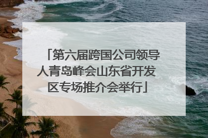 第六届跨国公司领导人青岛峰会山东省开发区专场推介会举行
