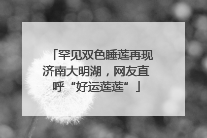 罕见双色睡莲再现济南大明湖，网友直呼“好运莲莲”