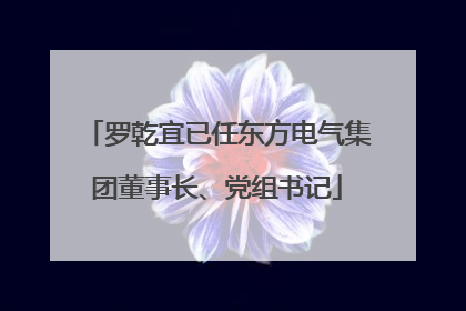 罗乾宜已任东方电气集团董事长、党组书记