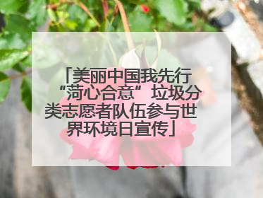 美丽中国我先行 “菏心合意”垃圾分类志愿者队伍参与世界环境日宣传