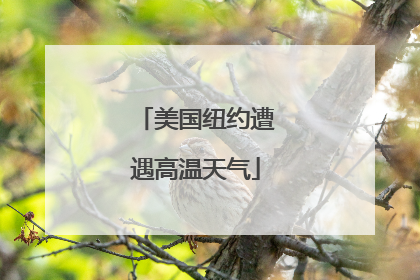 美国纽约遭遇高温天气