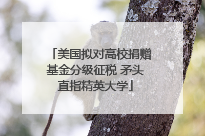 美国拟对高校捐赠基金分级征税 矛头直指精英大学