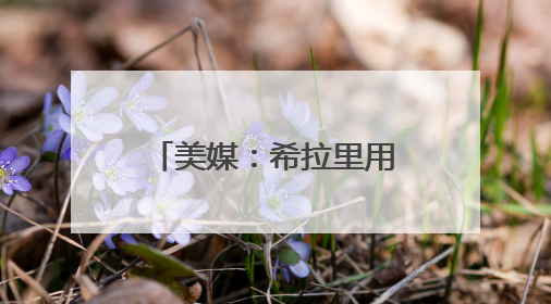 美媒：希拉里用挤满街头的示威人群画面作对比，嘲讽特朗普“低能量”阅兵式观众少
