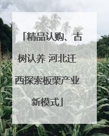 精品认购、古树认养 河北迁西探索板栗产业新模式