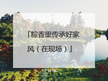 粽香里传承好家风（在现场）