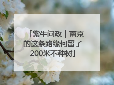 紫牛问政｜南京的这条路缘何留了200米不种树