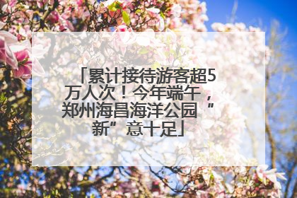 累计接待游客超5万人次！今年端午，郑州海昌海洋公园“新”意十足