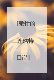 繁忙的二连浩特口岸