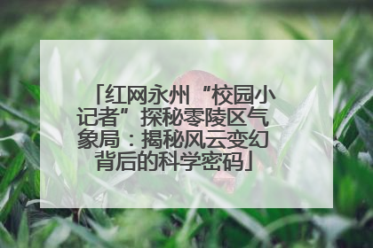 红网永州“校园小记者”探秘零陵区气象局：揭秘风云变幻背后的科学密码
