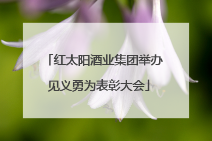红太阳酒业集团举办见义勇为表彰大会