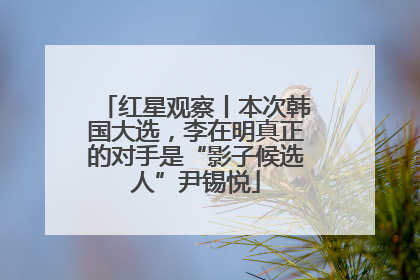 红星观察丨本次韩国大选，李在明真正的对手是“影子候选人”尹锡悦