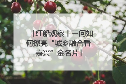 红船观察丨三问如何擦亮“城乡融合看嘉兴”金名片