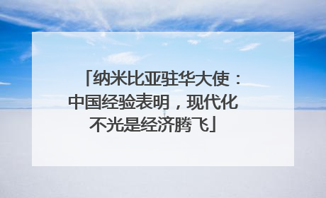 纳米比亚驻华大使：中国经验表明，现代化不光是经济腾飞