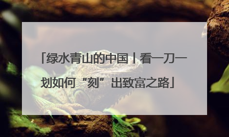 绿水青山的中国丨看一刀一划如何“刻”出致富之路