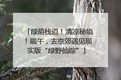 绿荫栈道！清凉秘境！端午，去京郊遇见现实版“绿野仙踪”