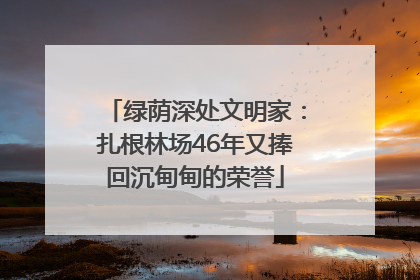 绿荫深处文明家：扎根林场46年又捧回沉甸甸的荣誉
