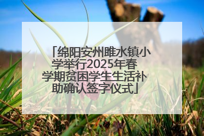 绵阳安州雎水镇小学举行2025年春学期贫困学生生活补助确认签字仪式