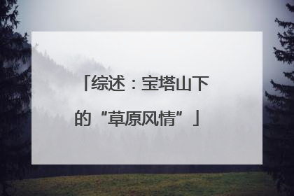 综述：宝塔山下的“草原风情”