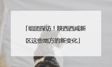 组团探访！陕西西咸新区这些地方的新变化