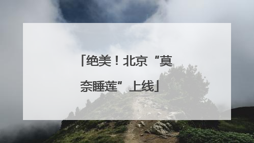 绝美！北京“莫奈睡莲”上线
