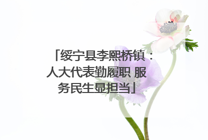 绥宁县李熙桥镇：人大代表勤履职 服务民生显担当