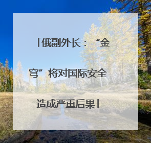 俄副外长：“金穹”将对国际安全造成严重后果