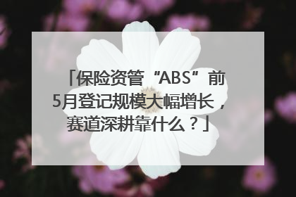 保险资管“ABS”前5月登记规模大幅增长，赛道深耕靠什么？