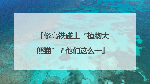 修高铁碰上“植物大熊猫”？他们这么干