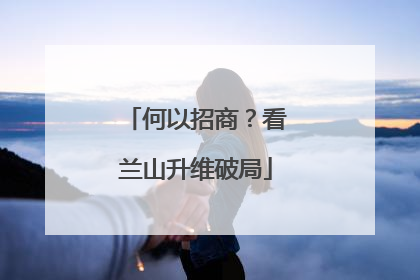 何以招商？看兰山升维破局