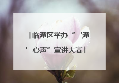 临潼区举办“‘潼’心声”宣讲大赛