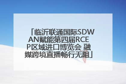 临沂联通国际SDWAN赋能第四届RCEP区域进口博览会 融媒跨境直播畅行无阻