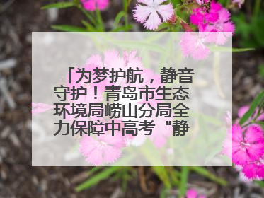 为梦护航，静音守护！青岛市生态环境局崂山分局全力保障中高考“静环境”