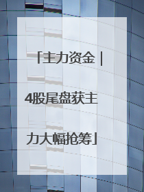 主力资金｜4股尾盘获主力大幅抢筹