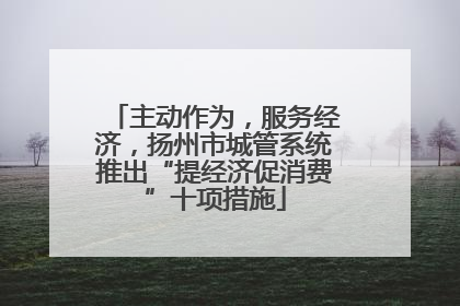 主动作为，服务经济，扬州市城管系统推出“提经济促消费”十项措施