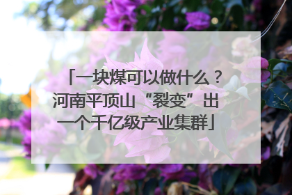 一块煤可以做什么？河南平顶山“裂变”出一个千亿级产业集群