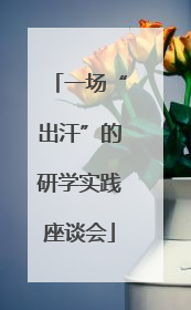 一场“出汗”的研学实践座谈会
