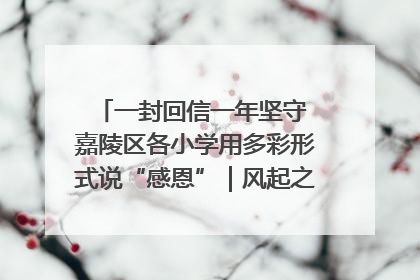 一封回信一年坚守 嘉陵区各小学用多彩形式说“感恩”｜风起之江 扶摇直上