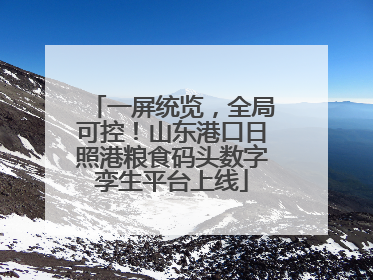 一屏统览，全局可控！山东港口日照港粮食码头数字孪生平台上线