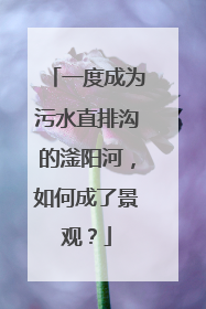 一度成为污水直排沟的滏阳河，如何成了景观？