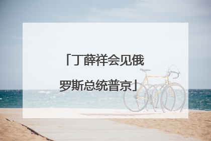 丁薛祥会见俄罗斯总统普京