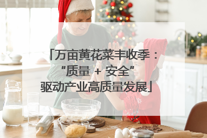 万亩黄花菜丰收季：“质量 + 安全” 驱动产业高质量发展