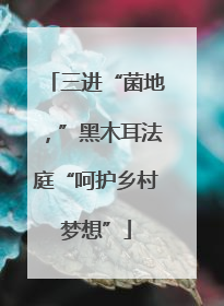 三进“菌地，”黑木耳法庭“呵护乡村梦想”