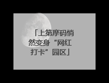 上第摩码悄然变身“网红打卡”园区