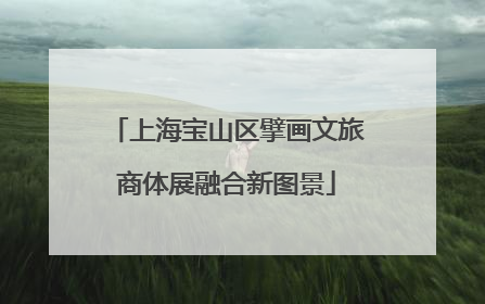 上海宝山区擘画文旅商体展融合新图景