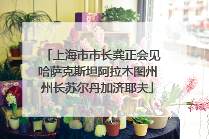 上海市市长龚正会见哈萨克斯坦阿拉木图州州长苏尔丹加济耶夫