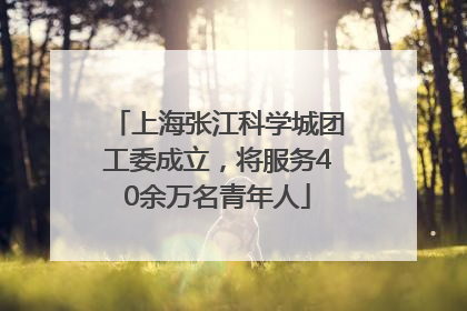 上海张江科学城团工委成立，将服务40余万名青年人